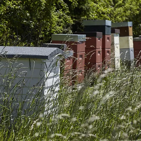 Thon Partner 4* Sorø