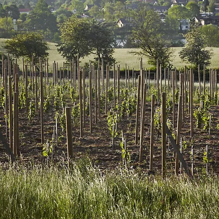 Hotel Thon Partner Sorø