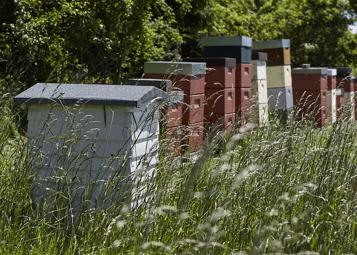 Thon Partner 4* Sorø