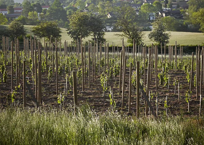 Hotel Thon Partner Sorø